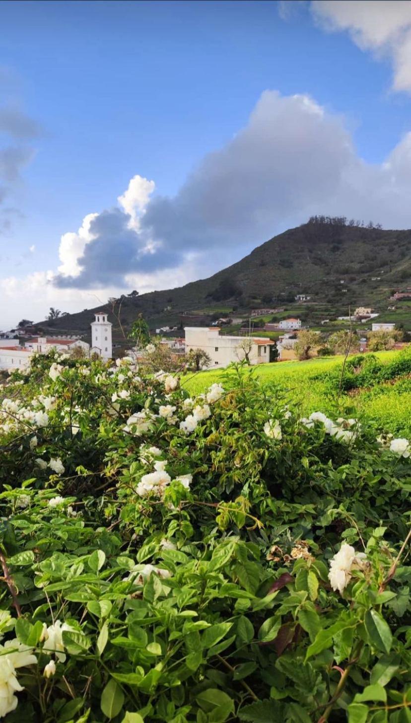 Apartmán Casa Porfirio Y Cristina Pedro Alvarez Exteriér fotografie
